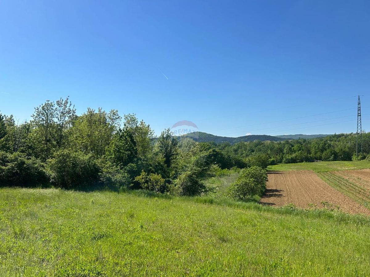 Stavbno zemljišče Vrh, Buzet, 1.630m2