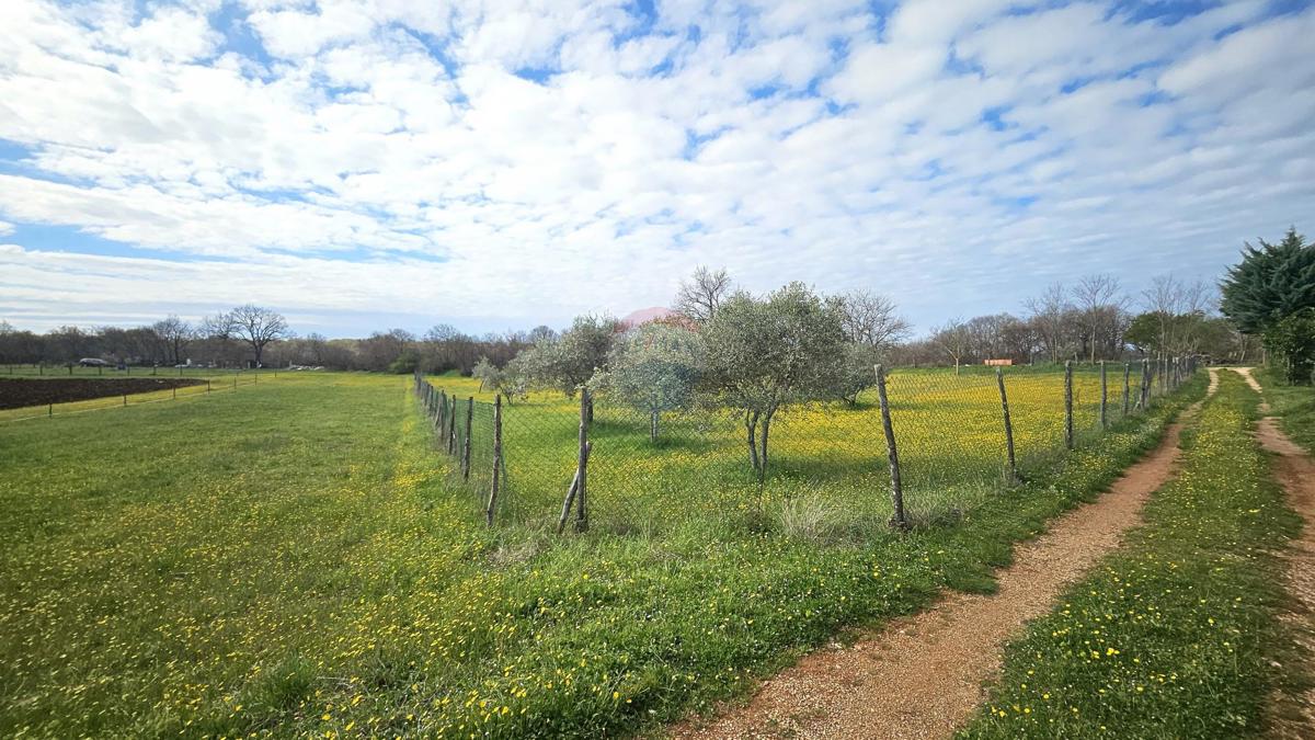 Stavbno zemljišče Umag, 3.364m2