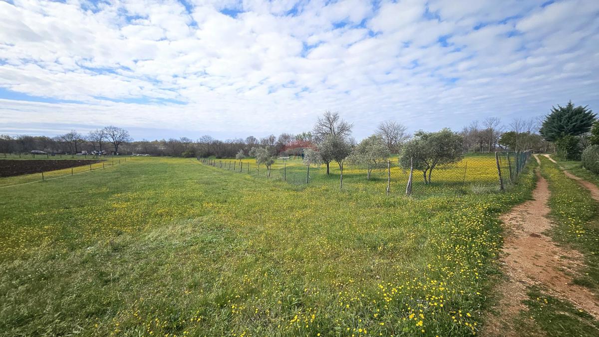 Stavbno zemljišče Umag, 3.364m2
