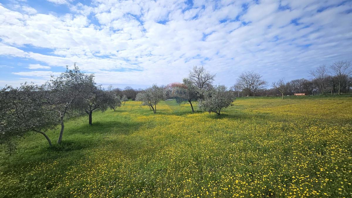 Stavbno zemljišče Umag, 3.364m2