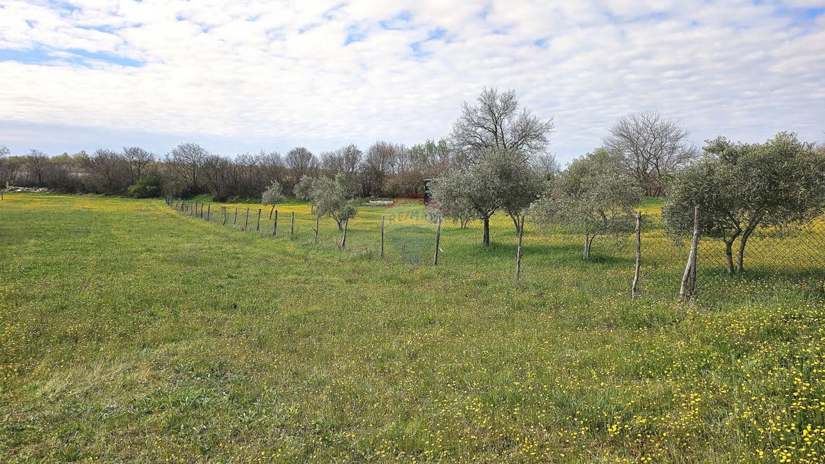 Stavbno zemljišče Umag, 3.364m2