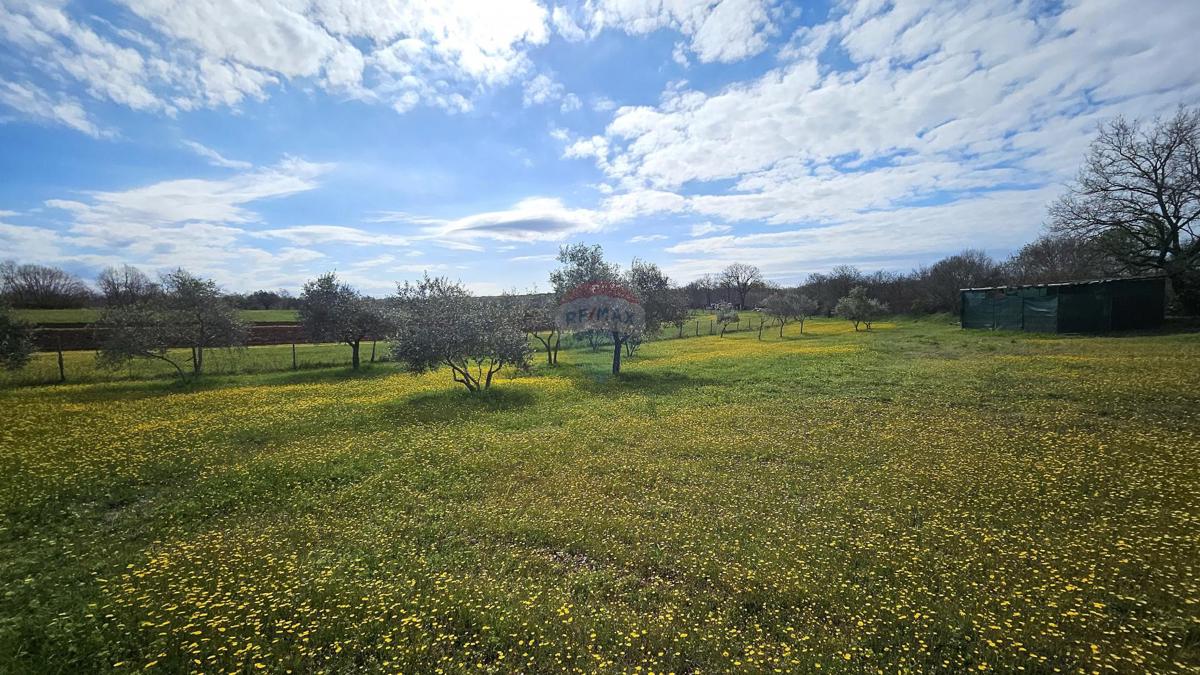 Stavbno zemljišče Umag, 3.364m2