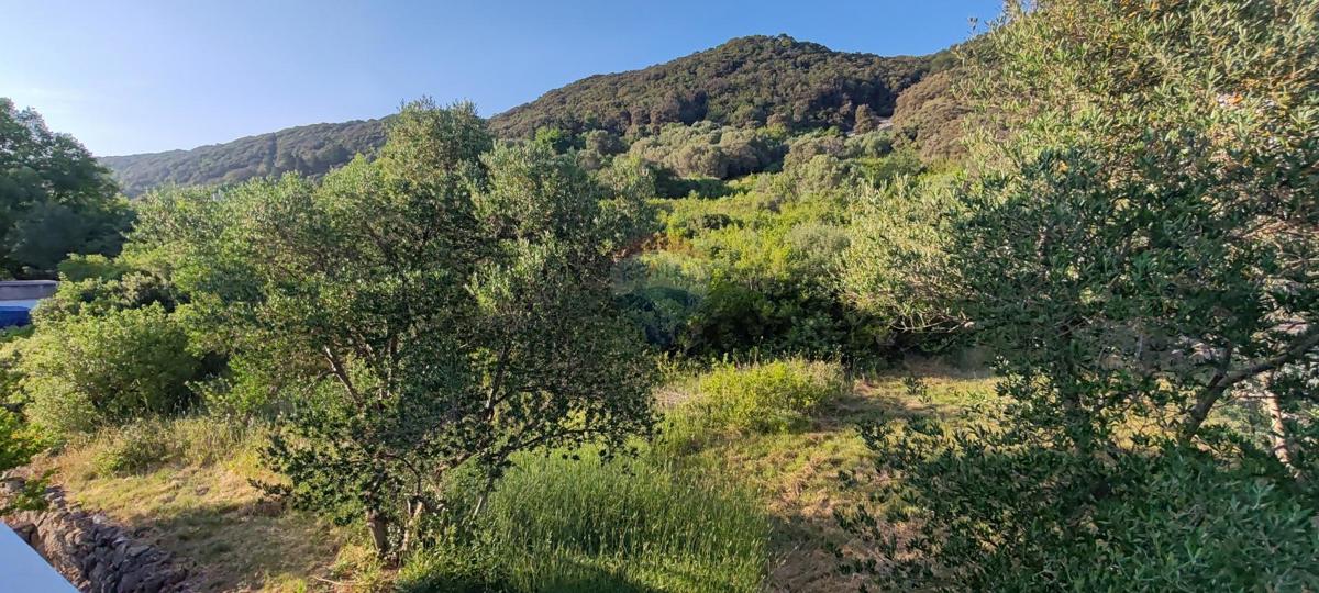 Hiša Supetarska Draga, Rab, 620m2