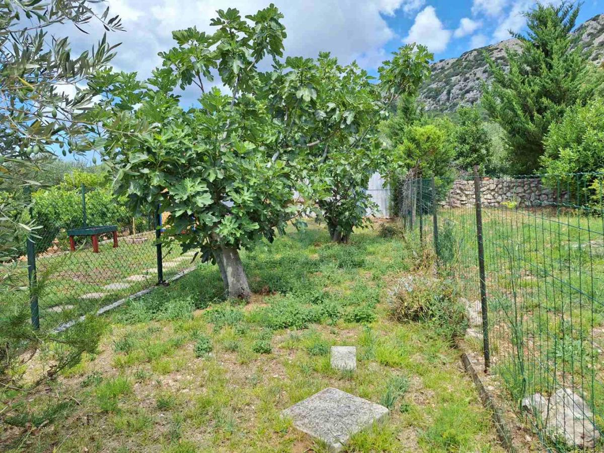 Hiša Draga Bašćanska, Baška, 92m2