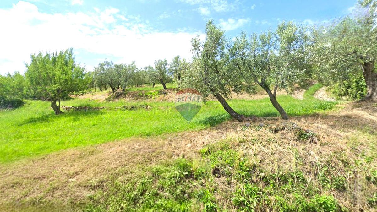 Stavbno zemljišče Momjan, Buje, 284m2