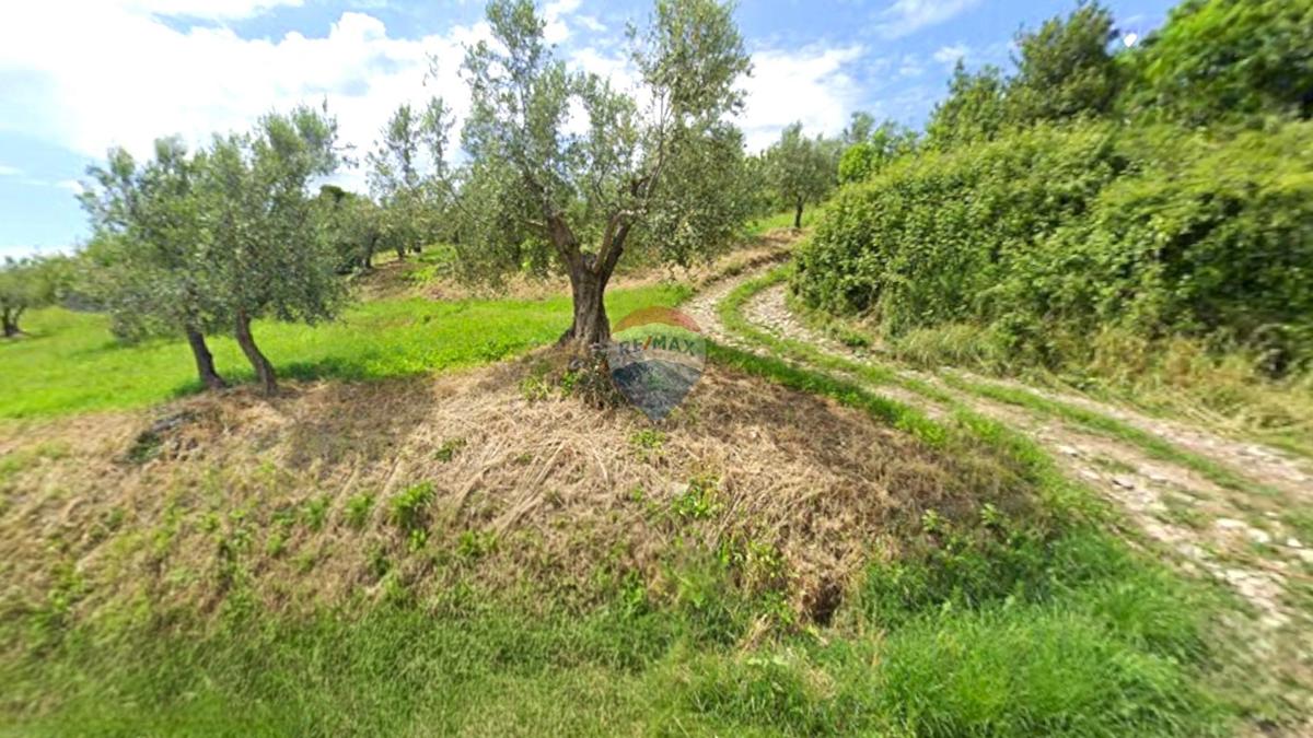 Stavbno zemljišče Momjan, Buje, 284m2