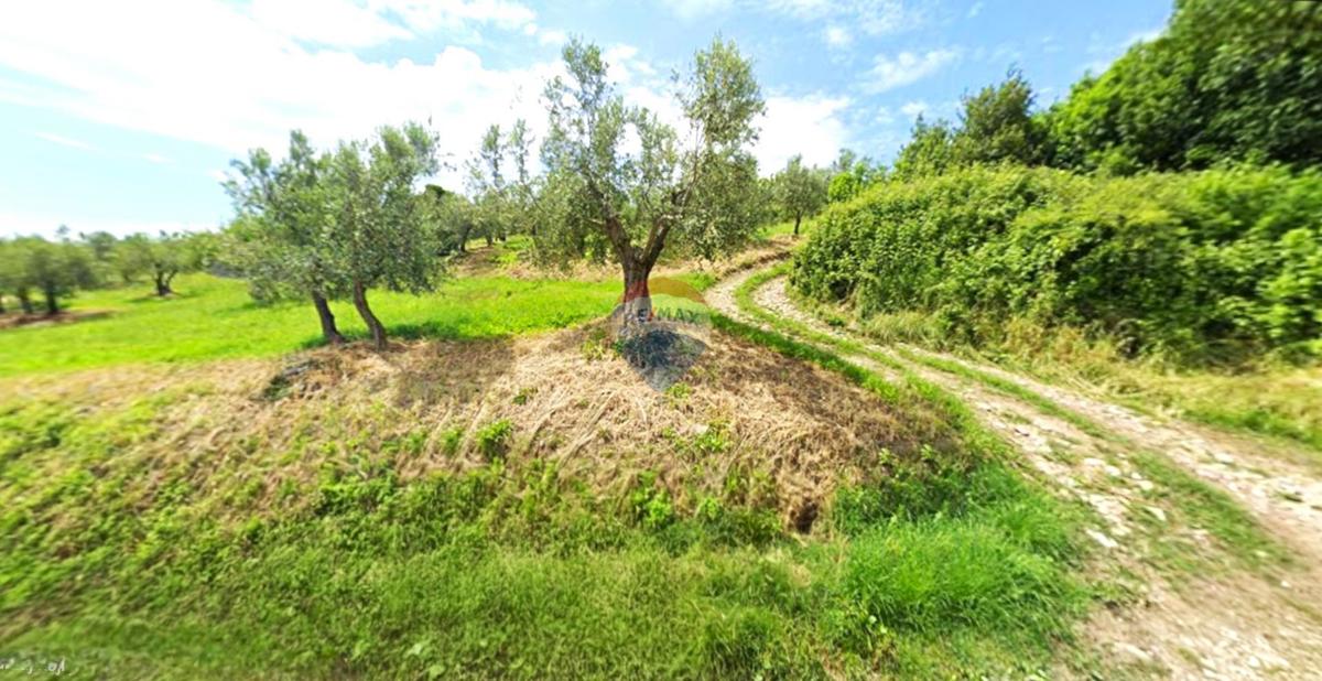 Stavbno zemljišče Momjan, Buje, 284m2