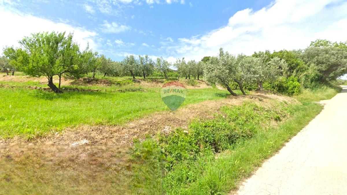 Stavbno zemljišče Momjan, Buje, 284m2