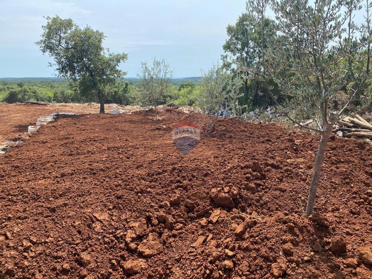 Stavbno zemljišče Bale, 493m2