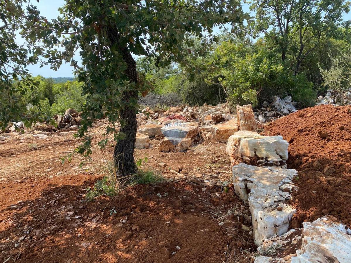 Stavbno zemljišče Bale, 493m2