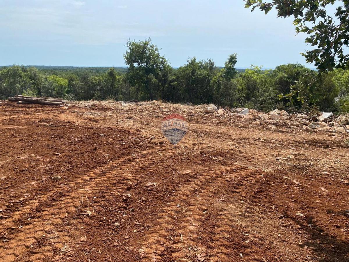 Stavbno zemljišče Bale, 493m2