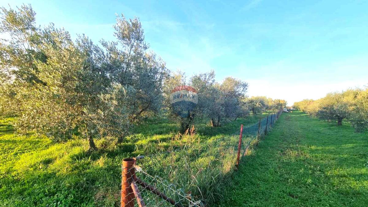 Stavbno zemljišče Finida, Umag, 1.899m2