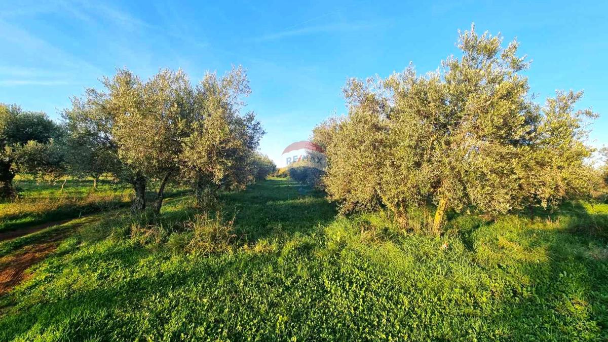 Stavbno zemljišče Finida, Umag, 1.899m2