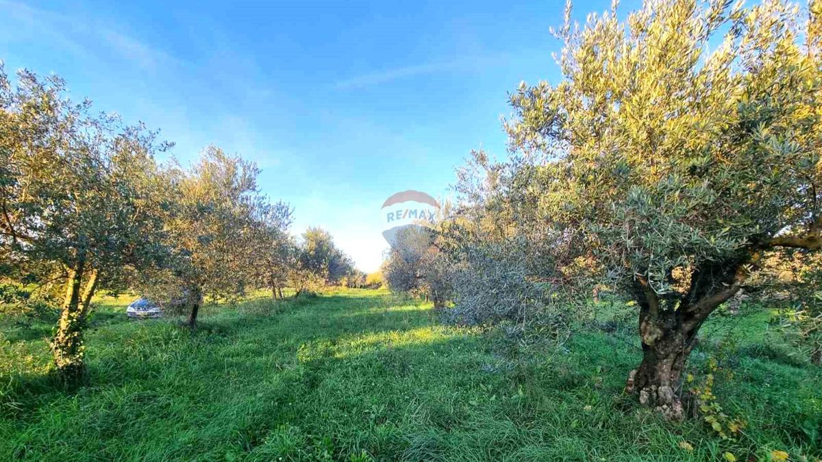 Stavbno zemljišče Finida, Umag, 1.899m2