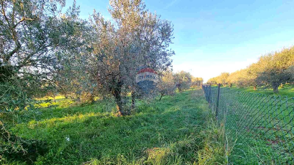 Stavbno zemljišče Finida, Umag, 1.899m2