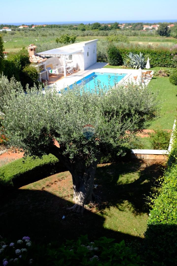 Hiša Poreč okolica, Poreč, 472m2