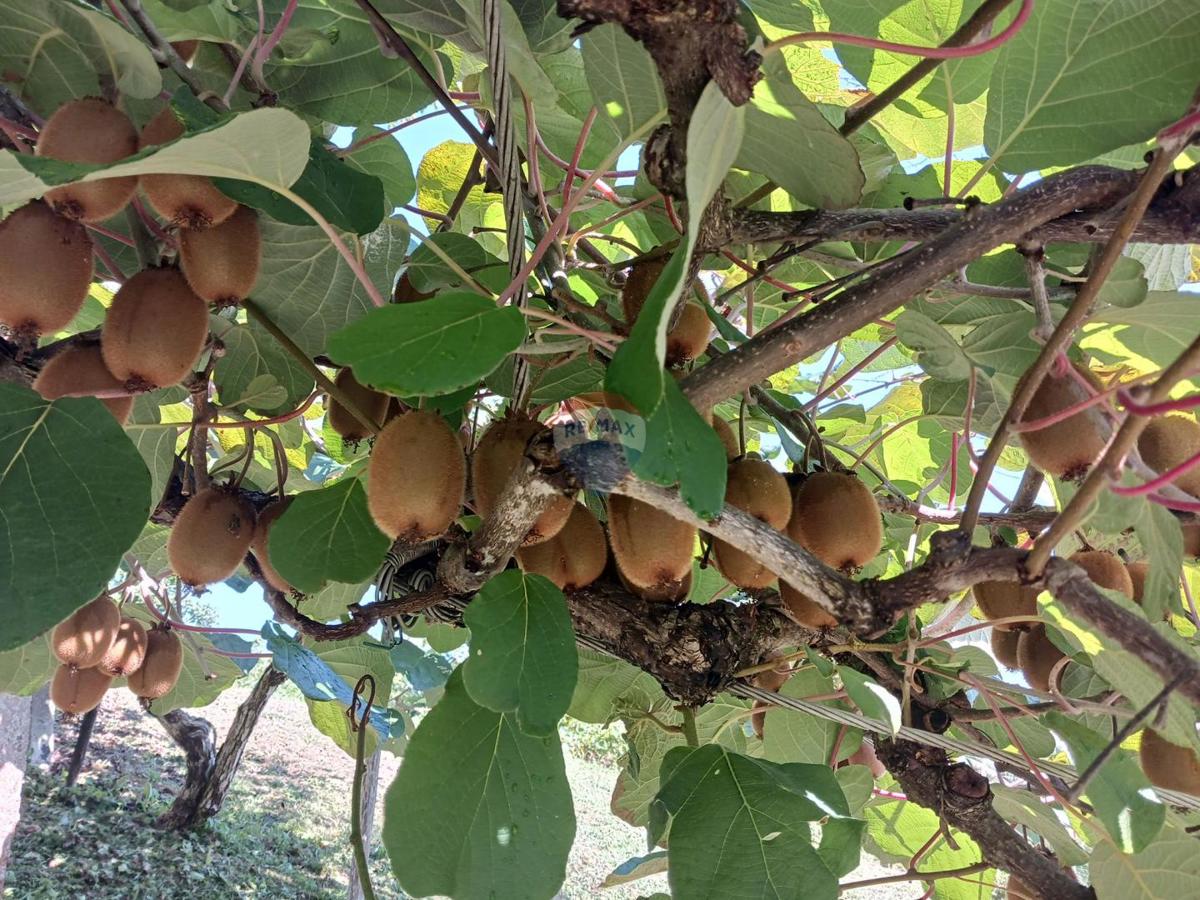 Hiša Vrh Letovanićki, Lekenik, 96m2