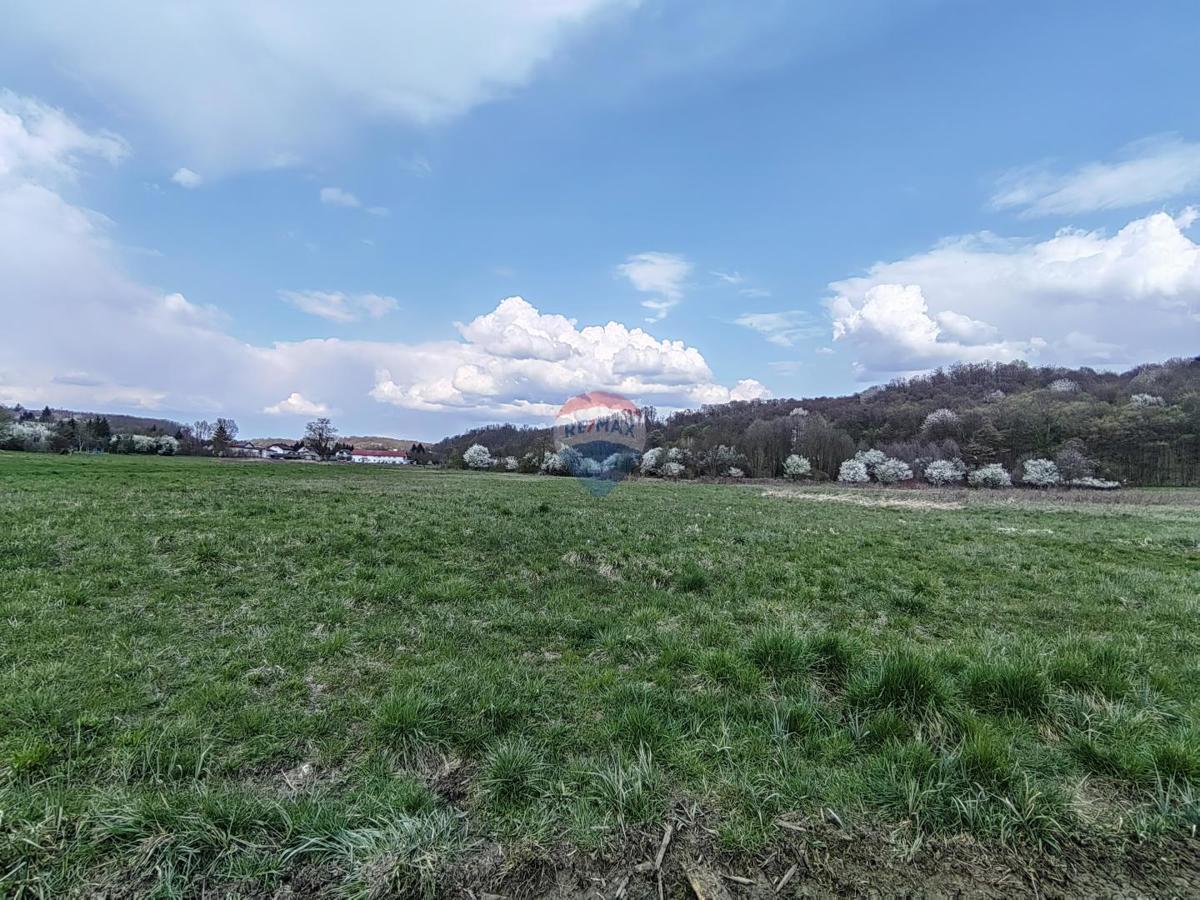 Stavbno zemljišče Donja Drenova, Sveti Ivan Zelina, 5.015m2