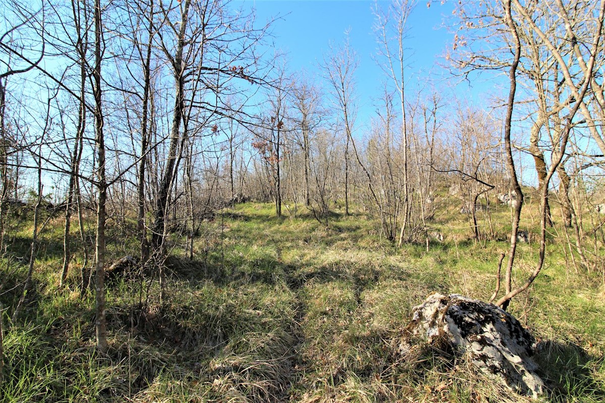 Stavbno zemljišče Permani, Matulji, 4.057m2