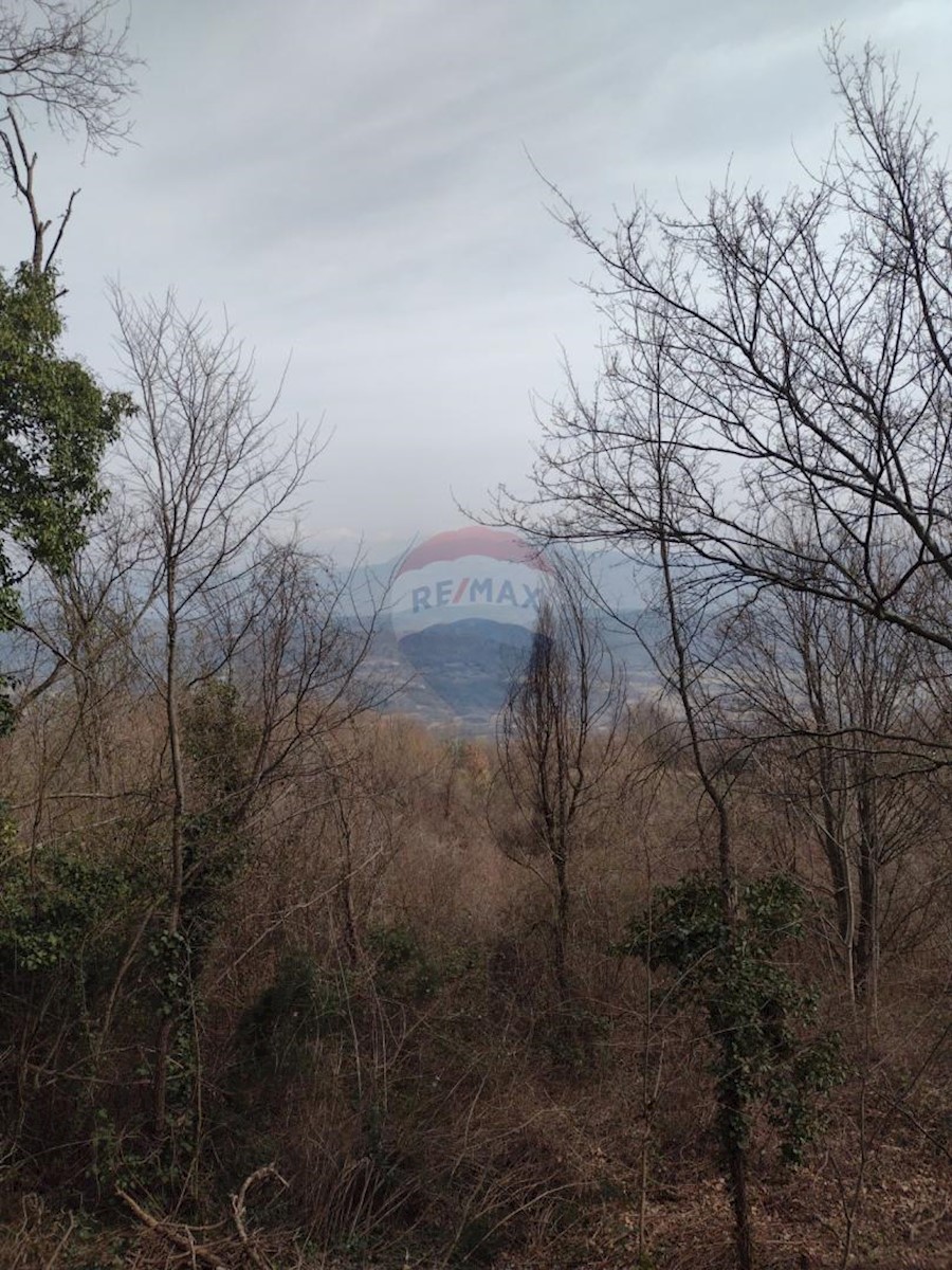 Stavbno zemljišče Pićan, 52.831m2