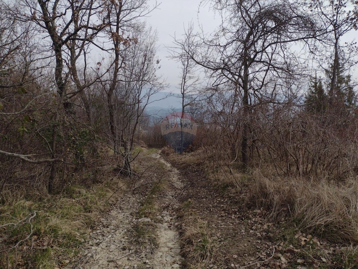 Stavbno zemljišče Pićan, 52.831m2