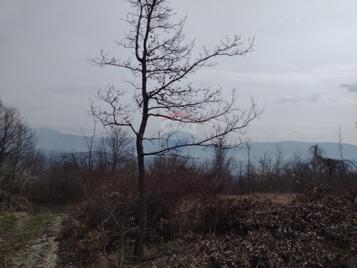 Stavbno zemljišče Pićan, 52.831m2