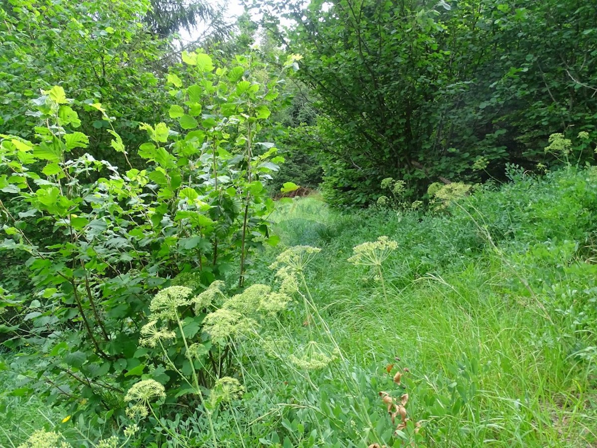 Stavbno zemljišče Fužine, 11.870m2