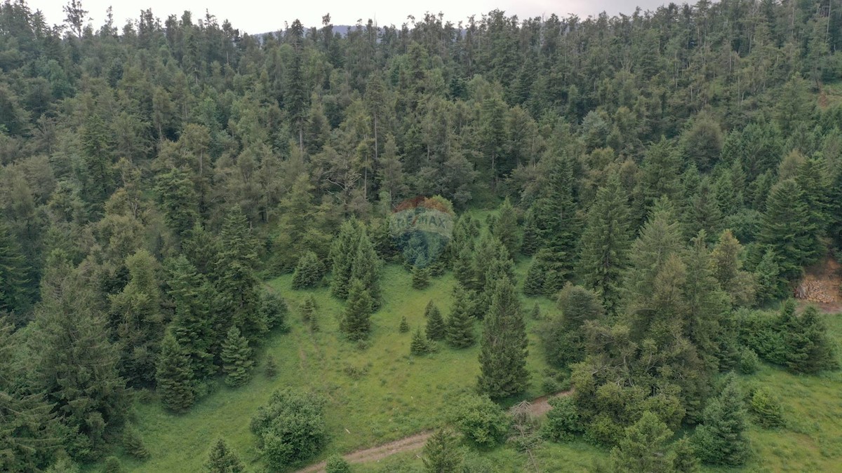 Stavbno zemljišče Fužine, 11.870m2