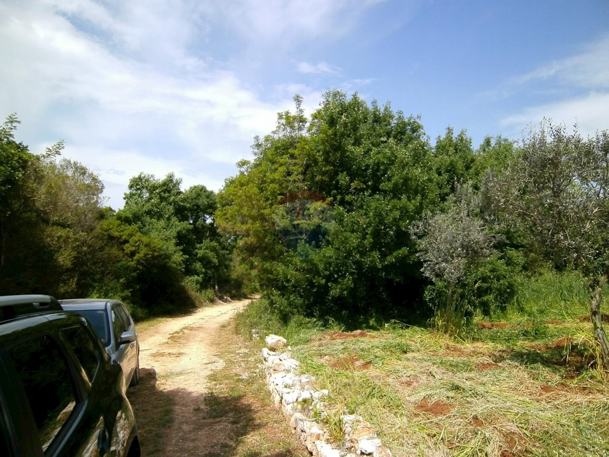Stavbno zemljišče Fažana, 4.340m2
