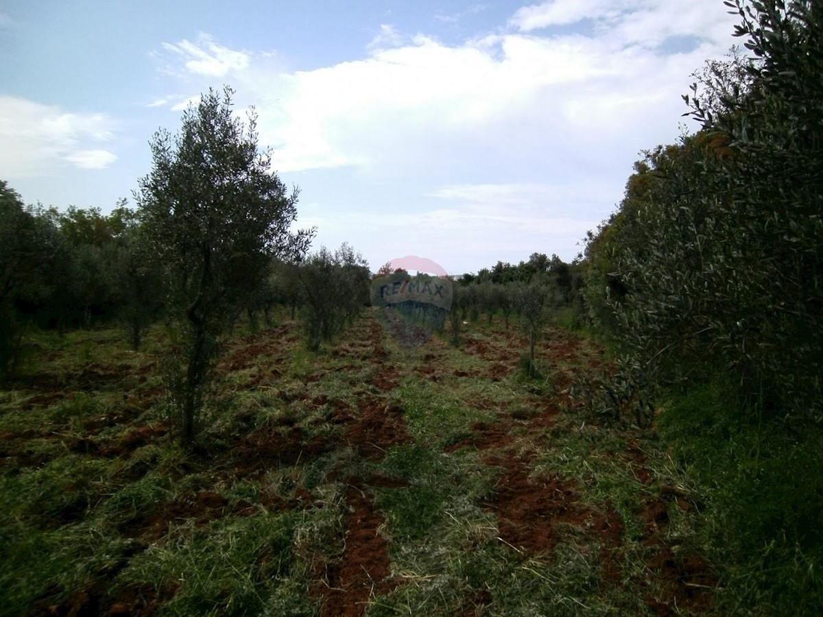 Stavbno zemljišče Fažana, 4.340m2