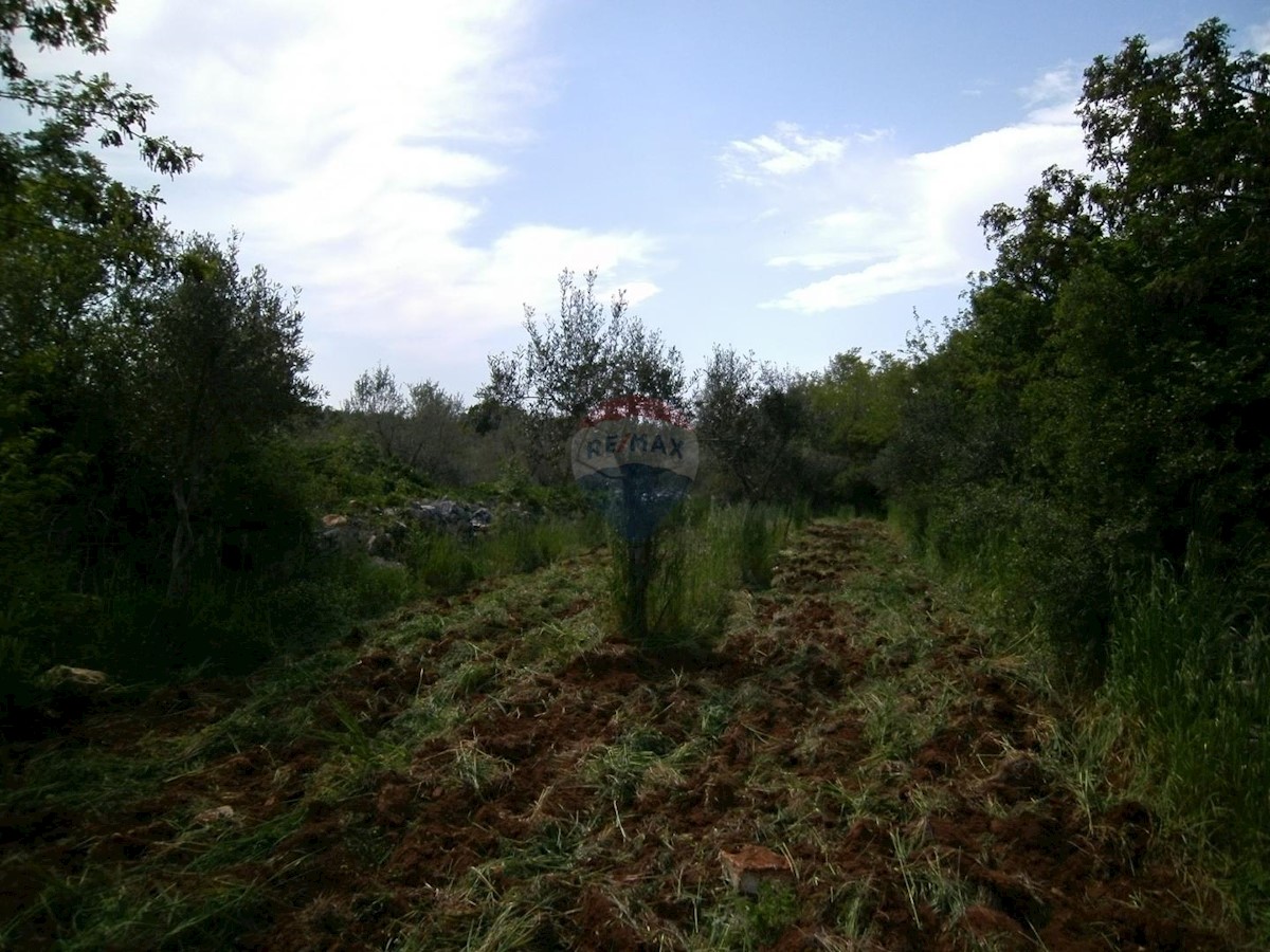 Stavbno zemljišče Fažana, 4.340m2