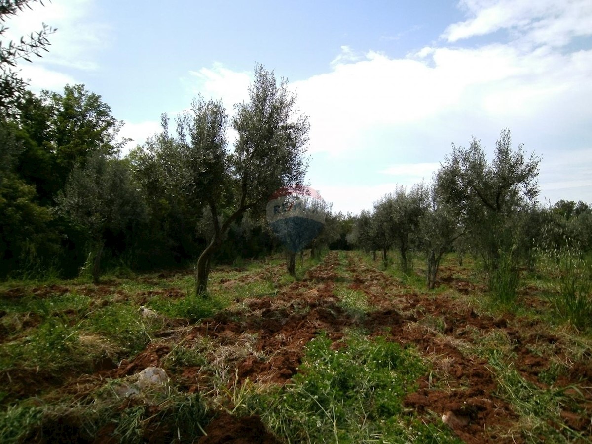 Stavbno zemljišče Fažana, 4.340m2