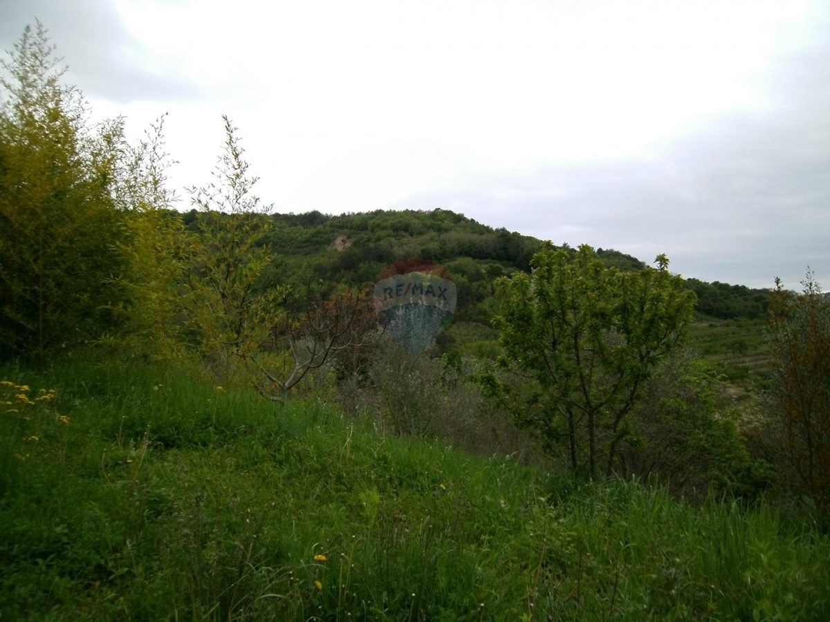 Hiša Kaldir, Motovun, 467,50m2