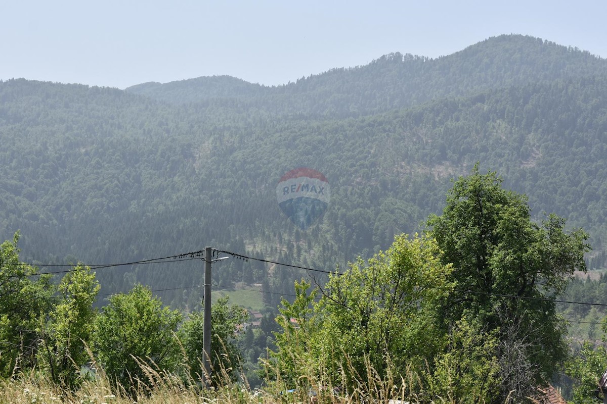 Dokmanovići, Vrbovsko, 3.019m2