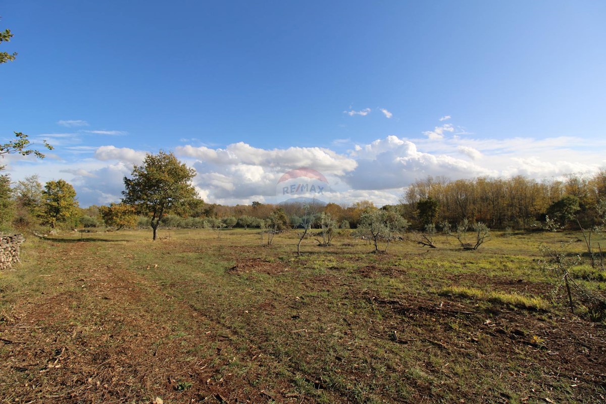 Kaštelir, Kaštelir-Labinci, 8.578m2