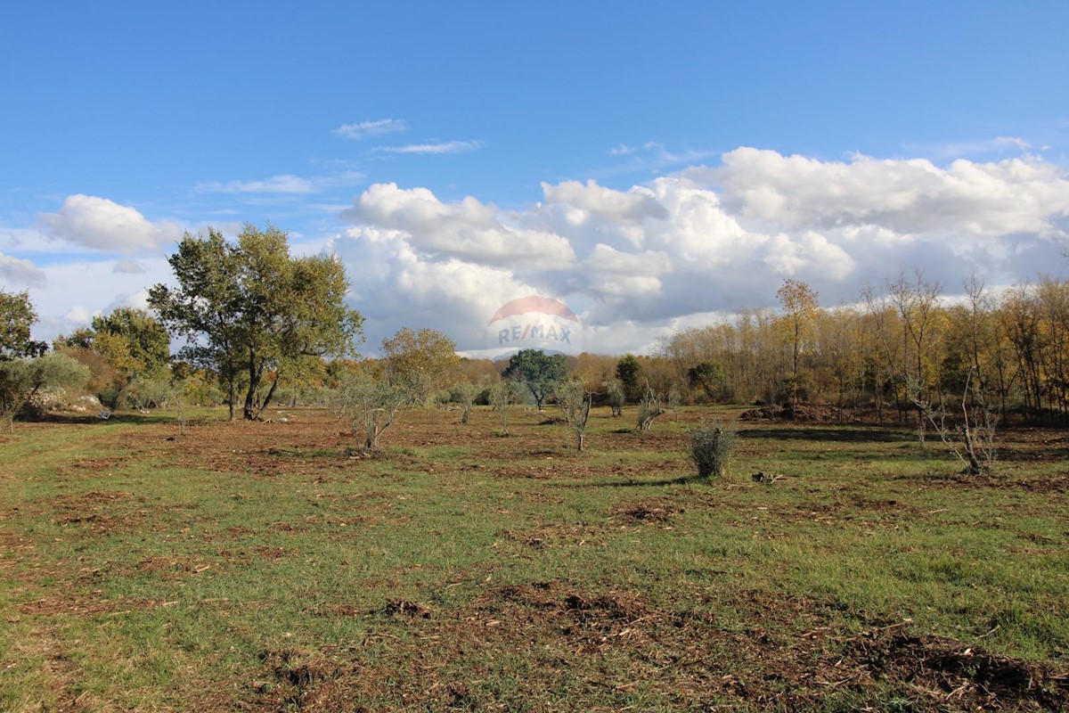 Kaštelir, Kaštelir-Labinci, 8.578m2