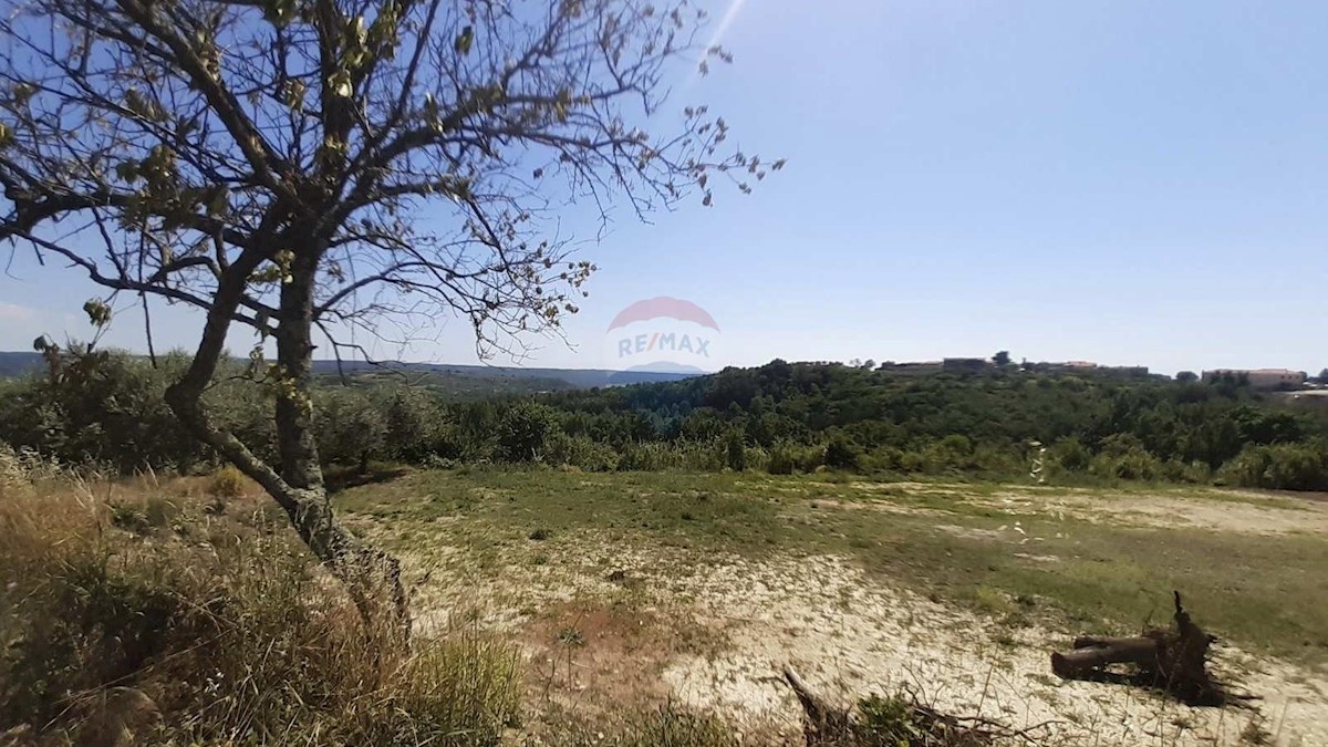 Hiša Krasica, Buje, 350m2