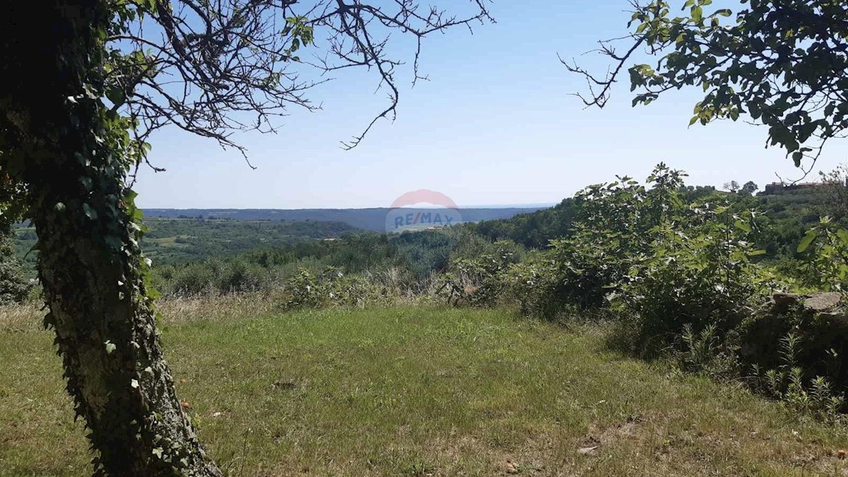 Hiša Krasica, Buje, 350m2