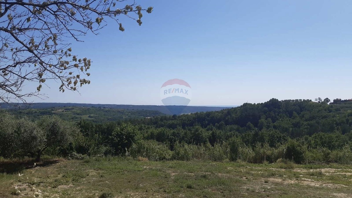 Hiša Krasica, Buje, 350m2