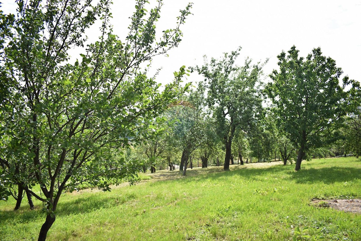 Granešina, Gornja Dubrava, 3.087m2