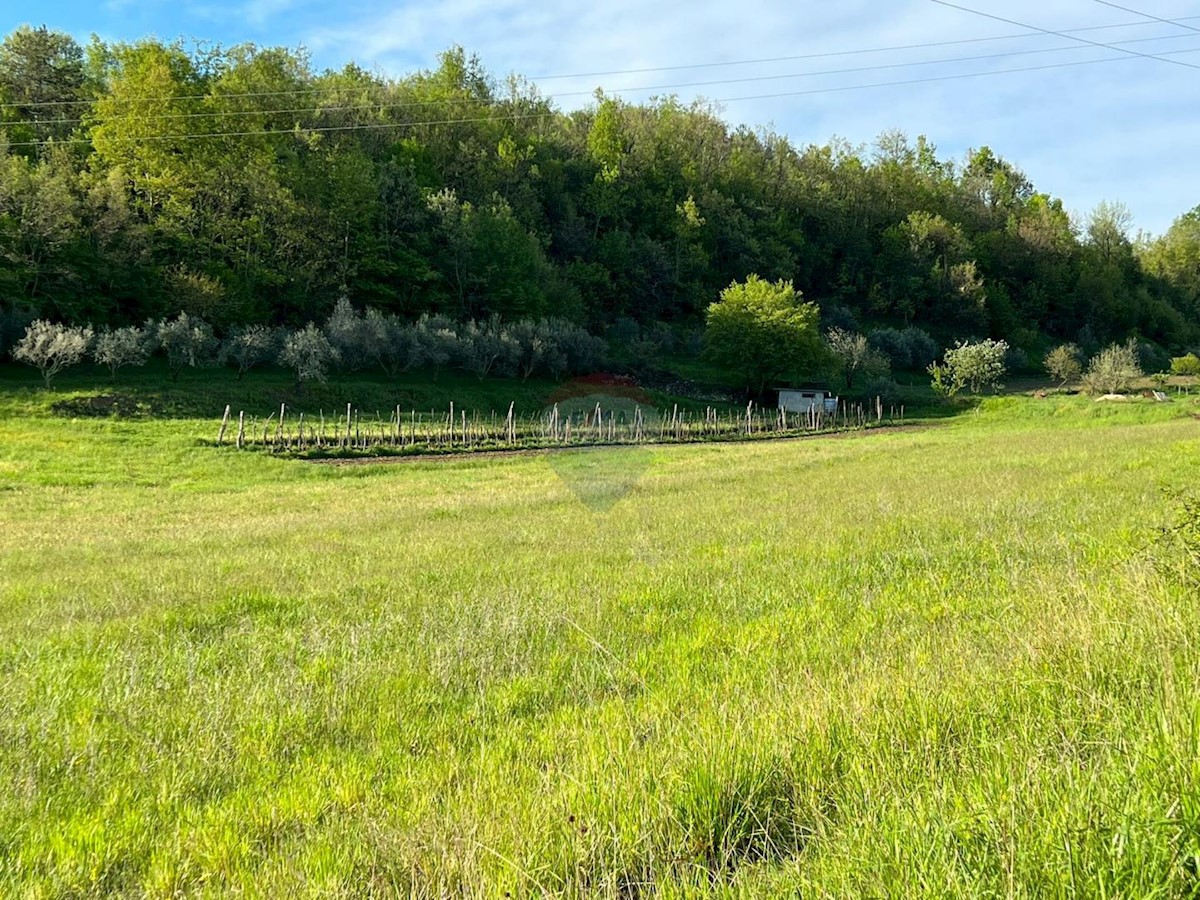 Hiša Račice, Buzet, 10.607m2