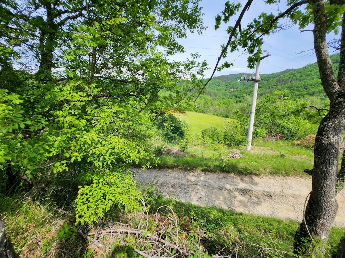 Hiša Račice, Buzet, 10.607m2