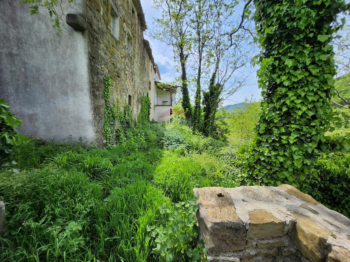 Hiša Račice, Buzet, 10.607m2