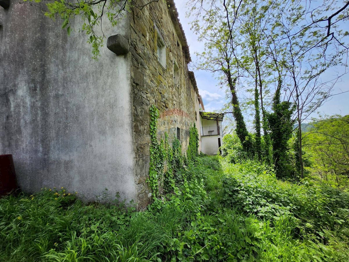 Hiša Račice, Buzet, 10.607m2