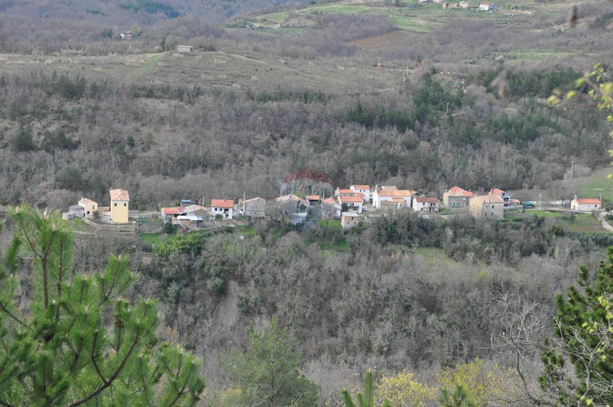 Hiša Račice, Buzet, 10.607m2