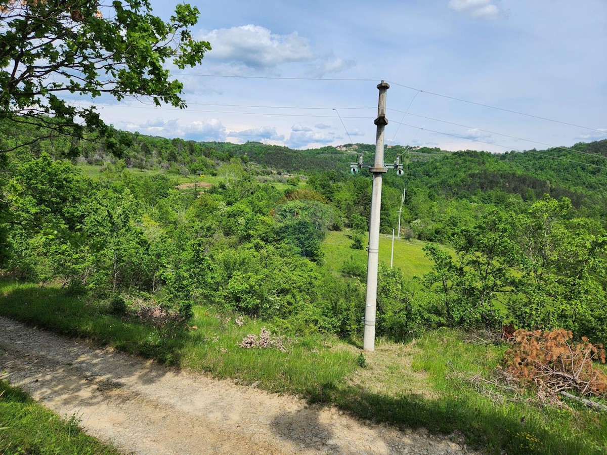 Hiša Račice, Buzet, 10.607m2