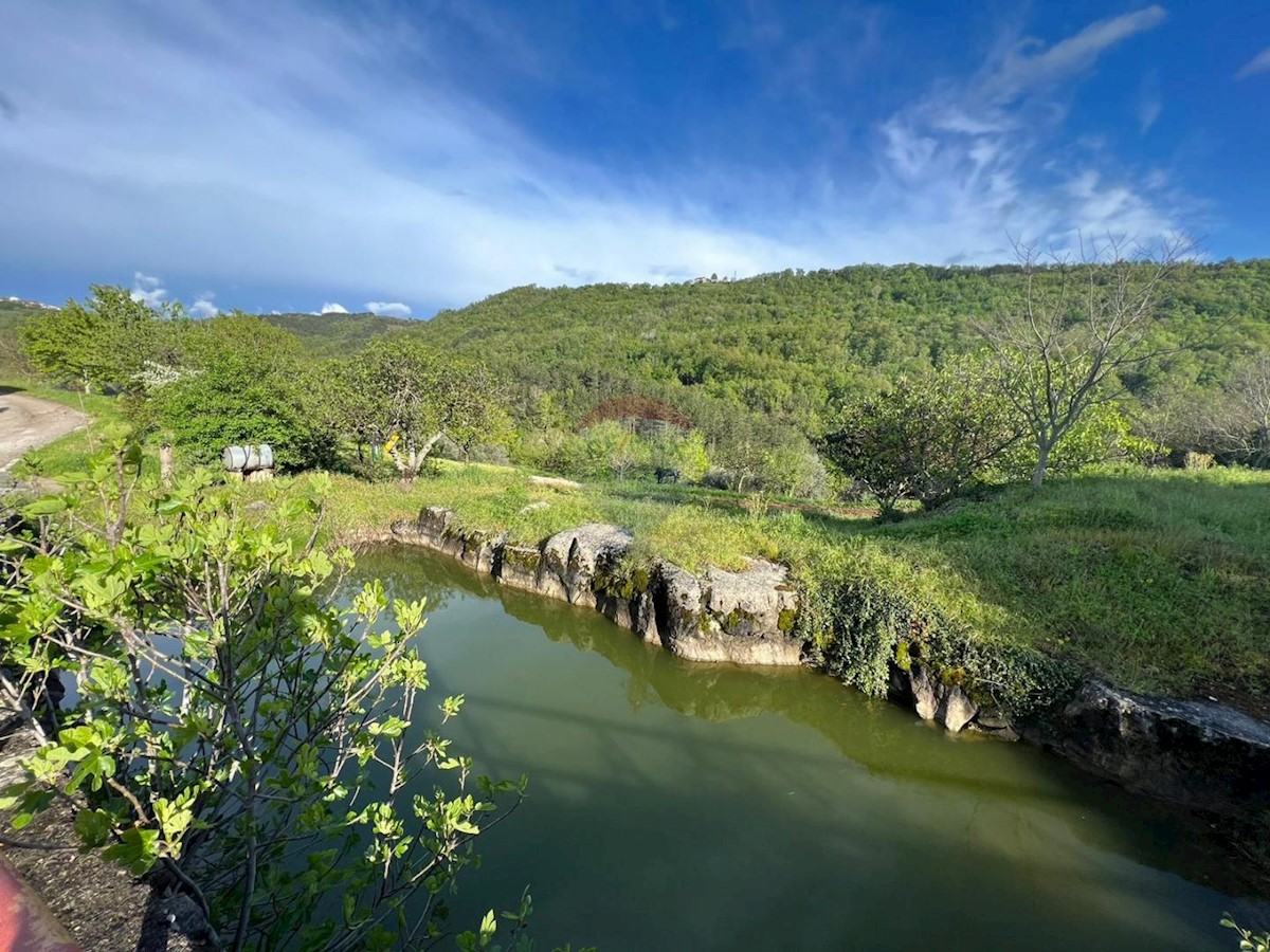 Hiša Račice, Buzet, 10.607m2