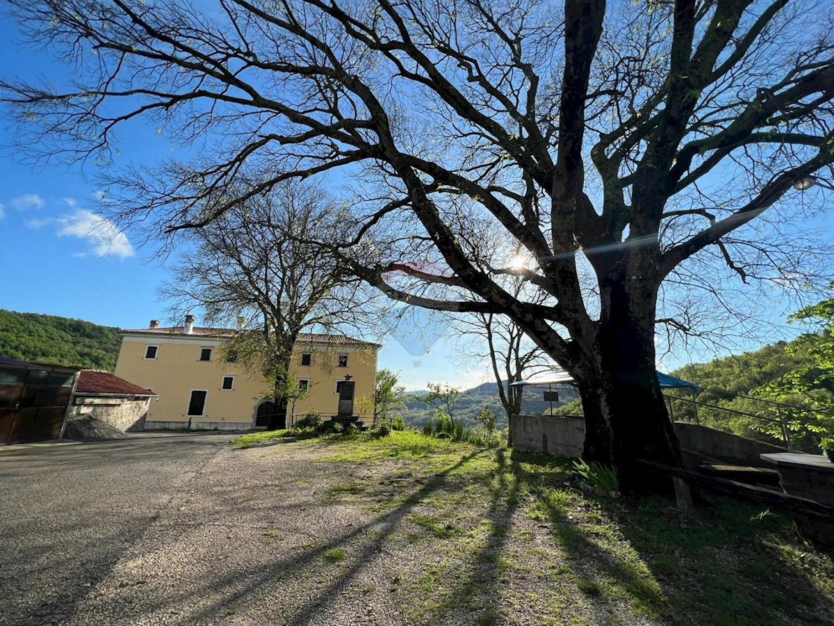 Hiša Račice, Buzet, 10.607m2