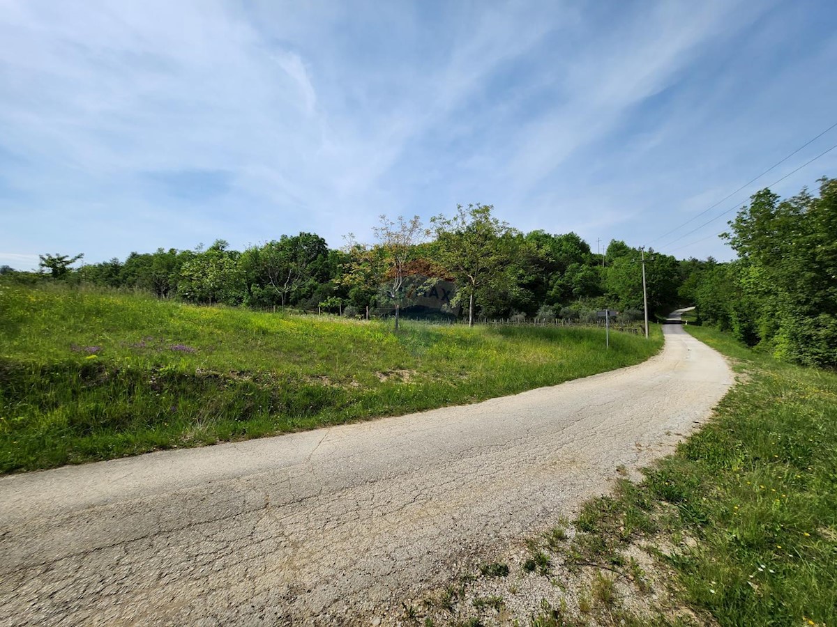 Hiša Račice, Buzet, 10.607m2