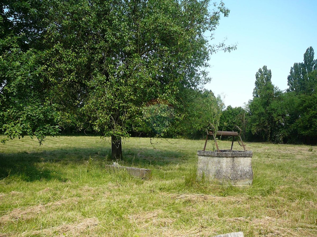 Gornja Gračenica, Popovača, 5.349m2